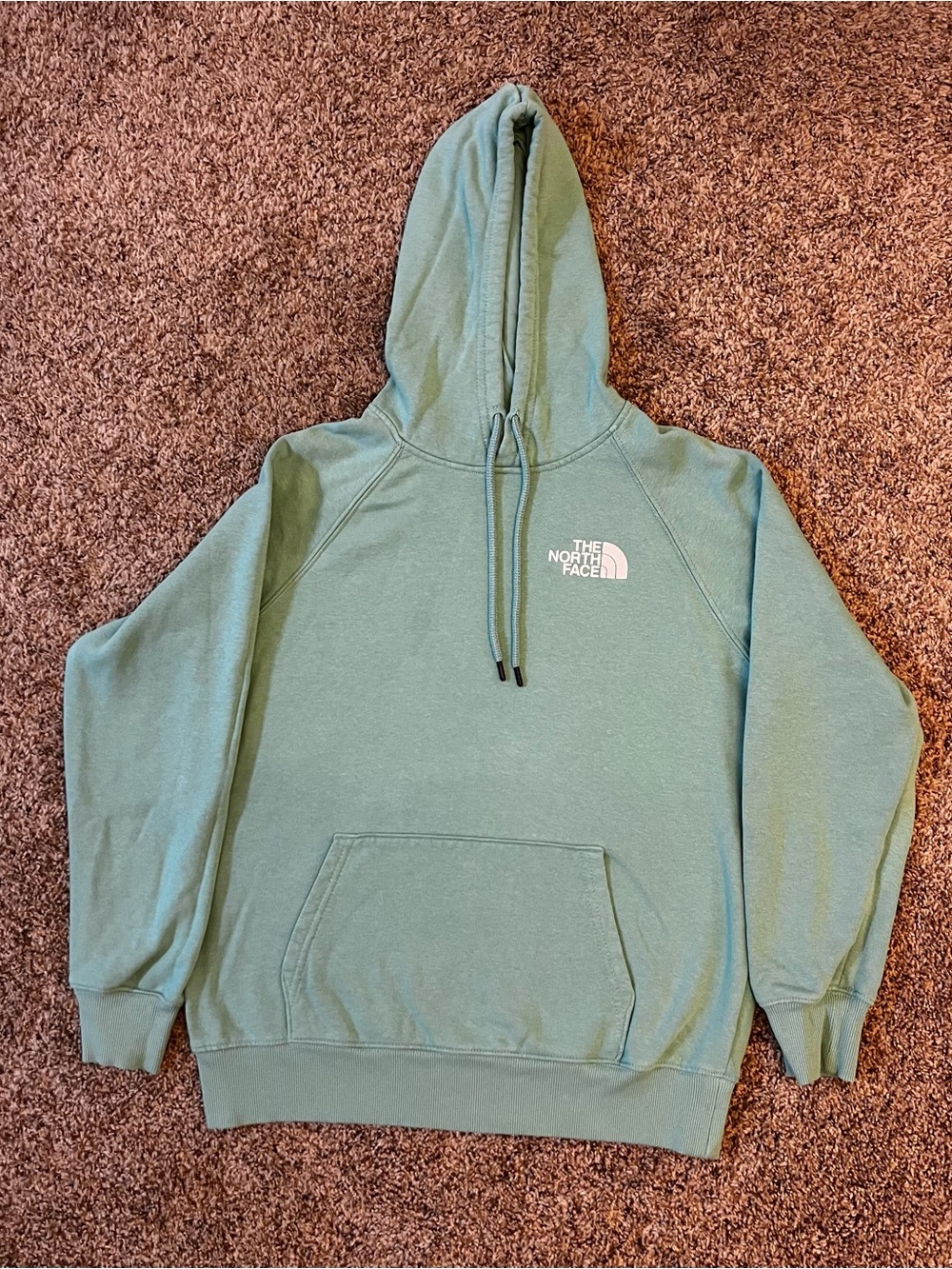 The North Face Men’s Hoodie in Seafoam Green